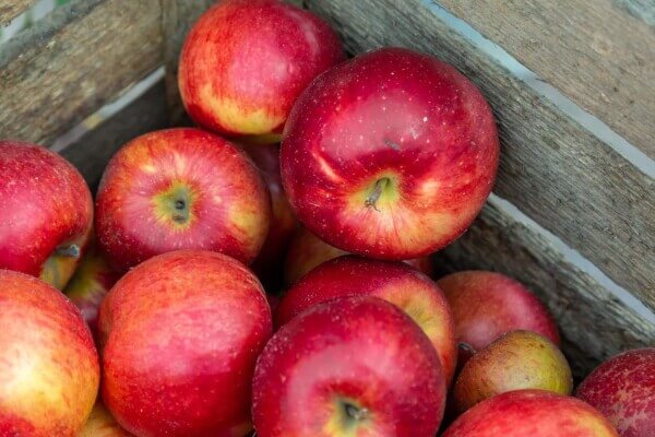 3 appels Santana